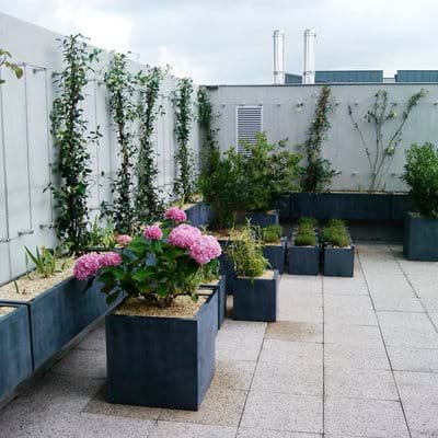 French Roof Garden 
